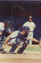 fau_35493-Thumbnail Image.jpg