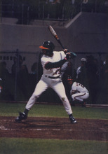 fau_35533-Thumbnail Image.jpg