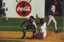 fau_35558-Thumbnail Image.jpg