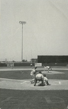 fau_35580-Thumbnail Image.jpg