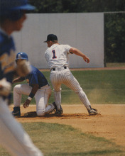 fau_35634-Thumbnail Image.jpg