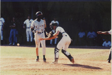 fau_35661-Thumbnail Image.jpg