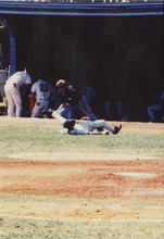 fau_35681-Thumbnail Image.jpg