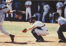 fau_35688-Thumbnail Image.jpg