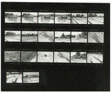 fau_35806-Thumbnail Image.jpg