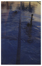 fau_35865-Thumbnail Image.jpg