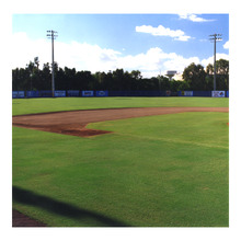 fau_35954-Thumbnail Image.jpg