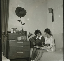 fau_35963-Thumbnail Image.jpg