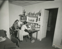 fau_35986-Thumbnail Image.jpg