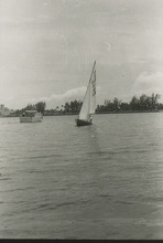 fau_36032-Thumbnail Image.jpg