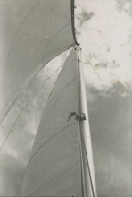 fau_36033-Thumbnail Image.jpg