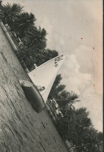 fau_36043-Thumbnail Image.jpg