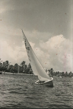 fau_36044-Thumbnail Image.jpg