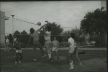 fau_36119-Thumbnail Image.jpg