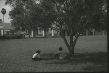 fau_36134-Thumbnail Image.jpg