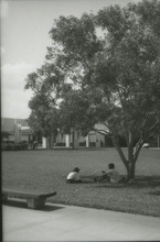 fau_36141-Thumbnail Image.jpg