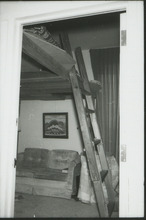 fau_36148-Thumbnail Image.jpg