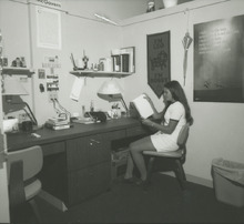 fau_36182-Thumbnail Image.jpg