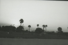 fau_36194-Thumbnail Image.jpg