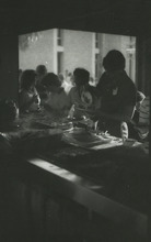 fau_36199-Thumbnail Image.jpg