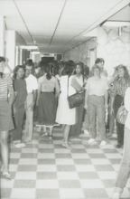 fau_36212-Thumbnail Image.jpg