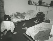 fau_36233-Thumbnail Image.jpg