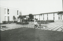 fau_36236-Thumbnail Image.jpg