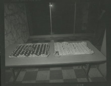 fau_36237-Thumbnail Image.jpg