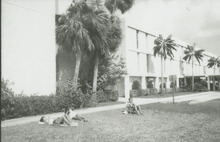 fau_36252-Thumbnail Image.jpg