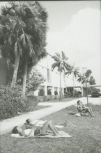 fau_36261-Thumbnail Image.jpg