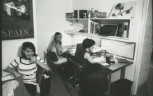 fau_36290-Thumbnail Image.jpg