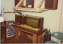 fau_36358-Thumbnail Image.jpg