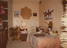 fau_36371-Thumbnail Image.jpg