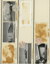 fau_36395-Thumbnail Image.jpg