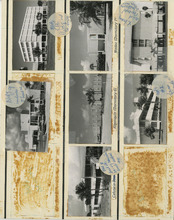 fau_36396-Thumbnail Image.jpg