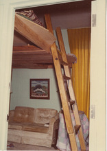 fau_36427-Thumbnail Image.jpg