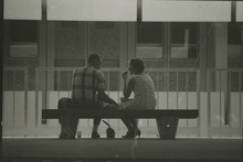 fau_36448-Thumbnail Image.jpg