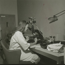 fau_36504-Thumbnail Image.jpg