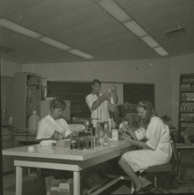 fau_36510-Thumbnail Image.jpg