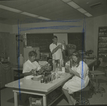 fau_36511-Thumbnail Image.jpg