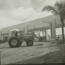 fau_36512-Thumbnail Image.jpg