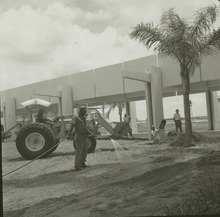 fau_36513-Thumbnail Image.jpg