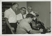 fau_36514-Thumbnail Image.jpg