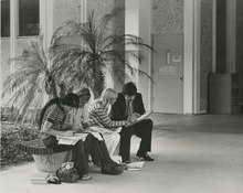 fau_36516-Thumbnail Image.jpg