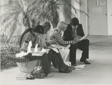 fau_36517-Thumbnail Image.jpg