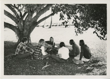 fau_36518-Thumbnail Image.jpg