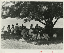 fau_36521-Thumbnail Image.jpg