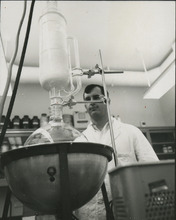 fau_36529-Thumbnail Image.jpg