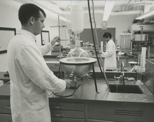 fau_36531-Thumbnail Image.jpg