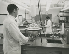 fau_36532-Thumbnail Image.jpg